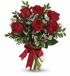 Premium Half Dozen Roses