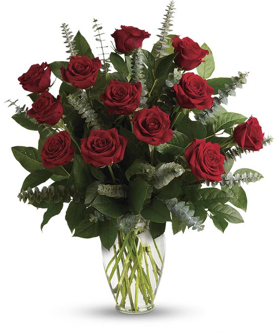 One Dozen Roses Premium